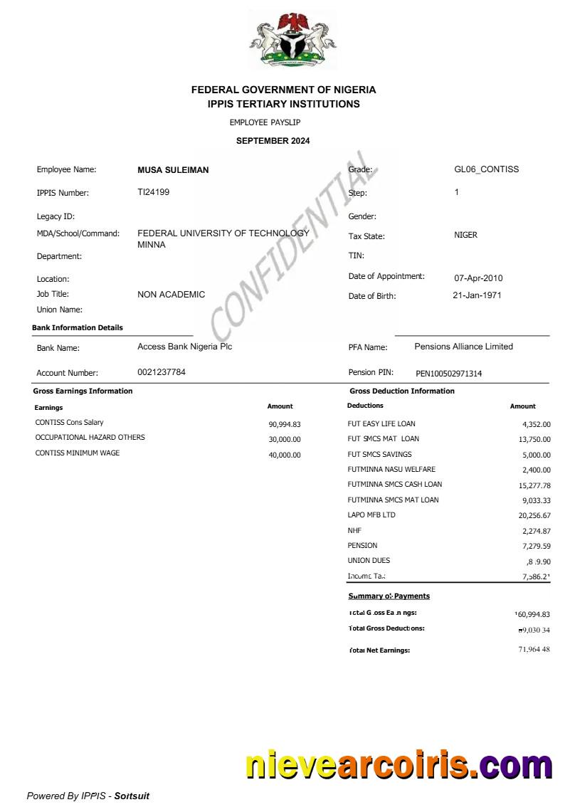 Federal Government of Nigeria employee payslip